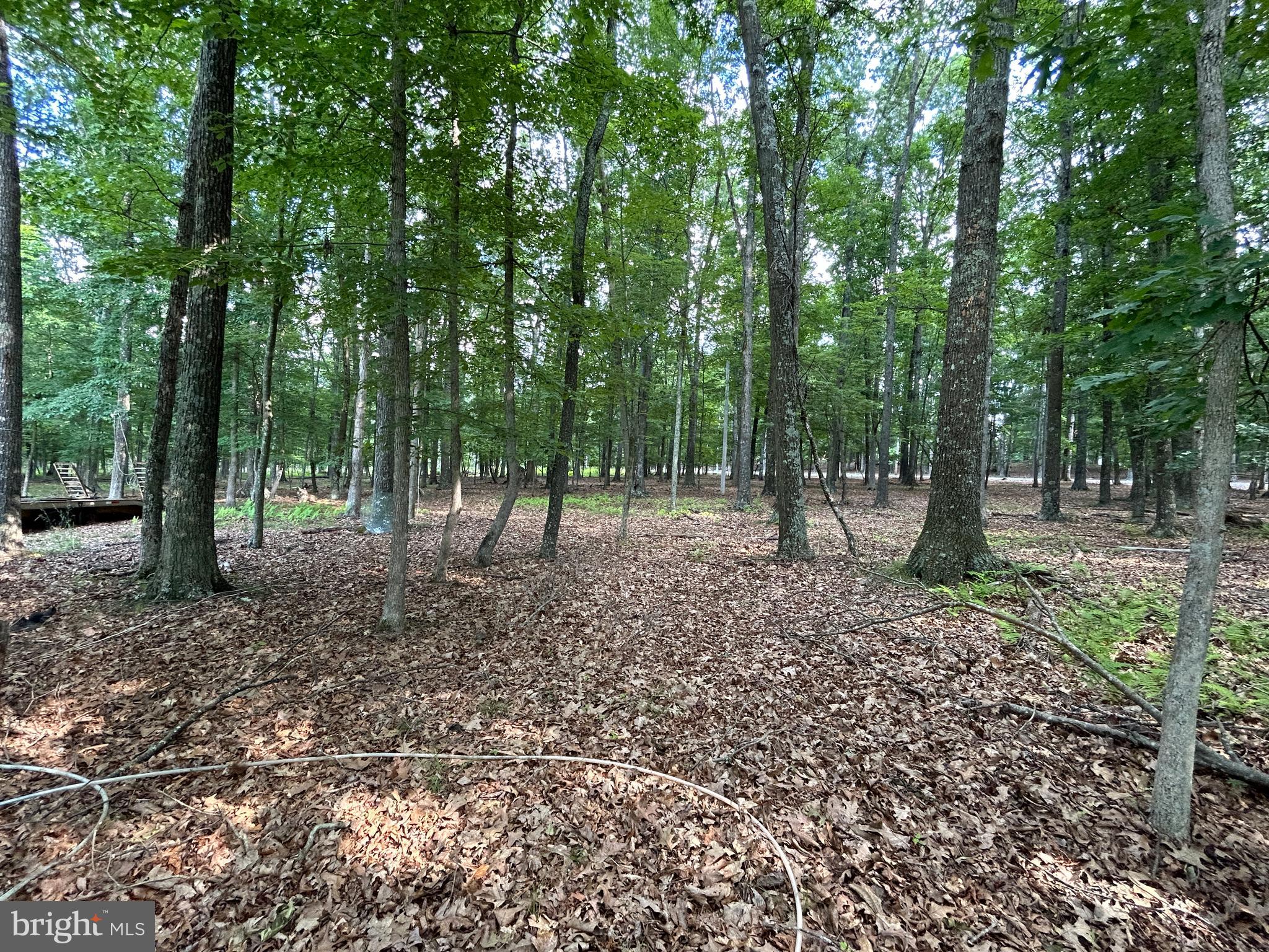 MISTY MEADOWS - Land