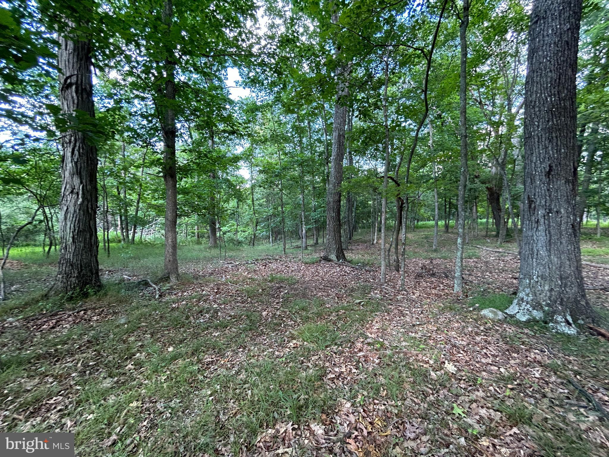 MISTY MEADOWS - Land