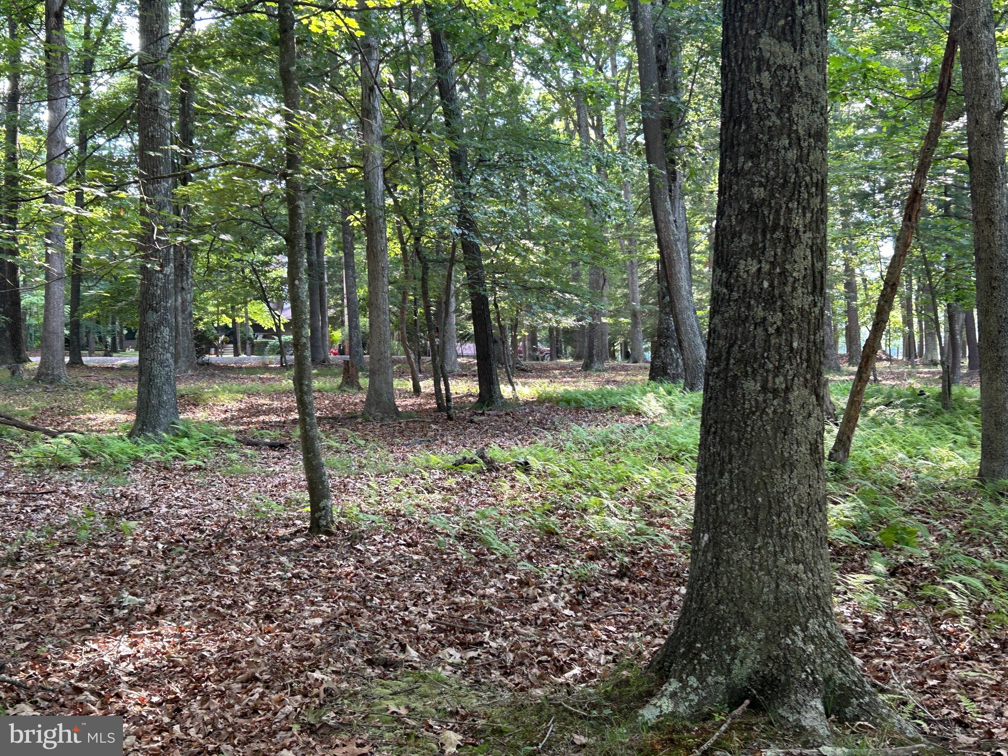 MISTY MEADOWS - Land