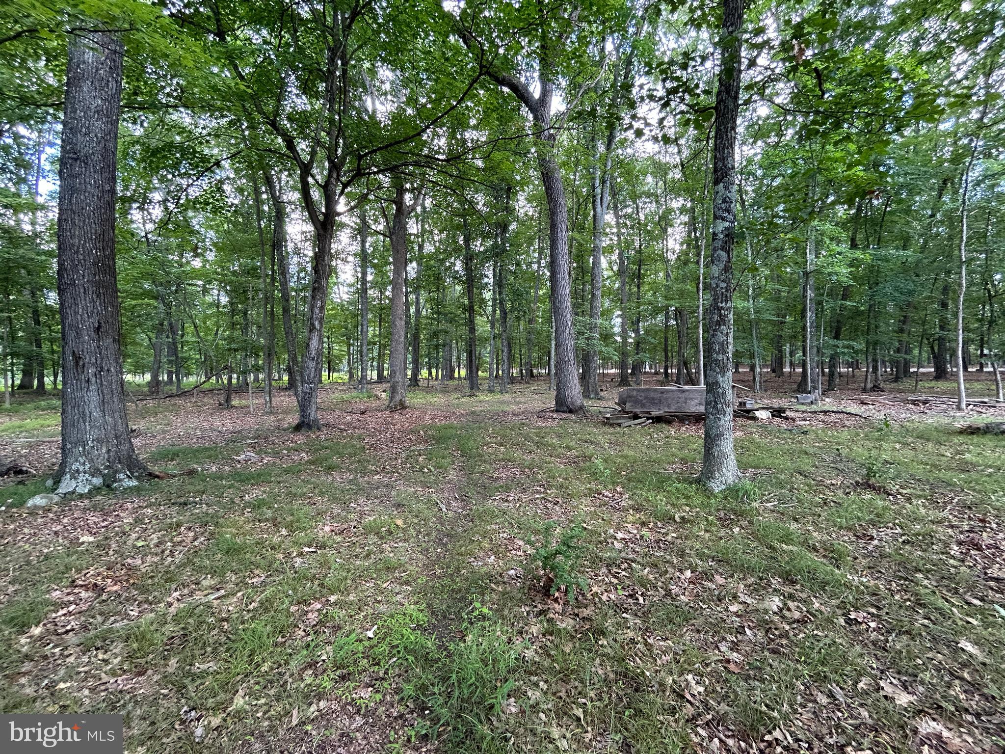 MISTY MEADOWS - Land