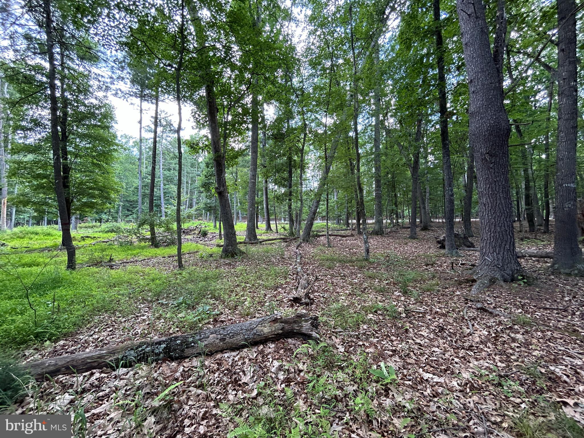 MISTY MEADOWS - Land