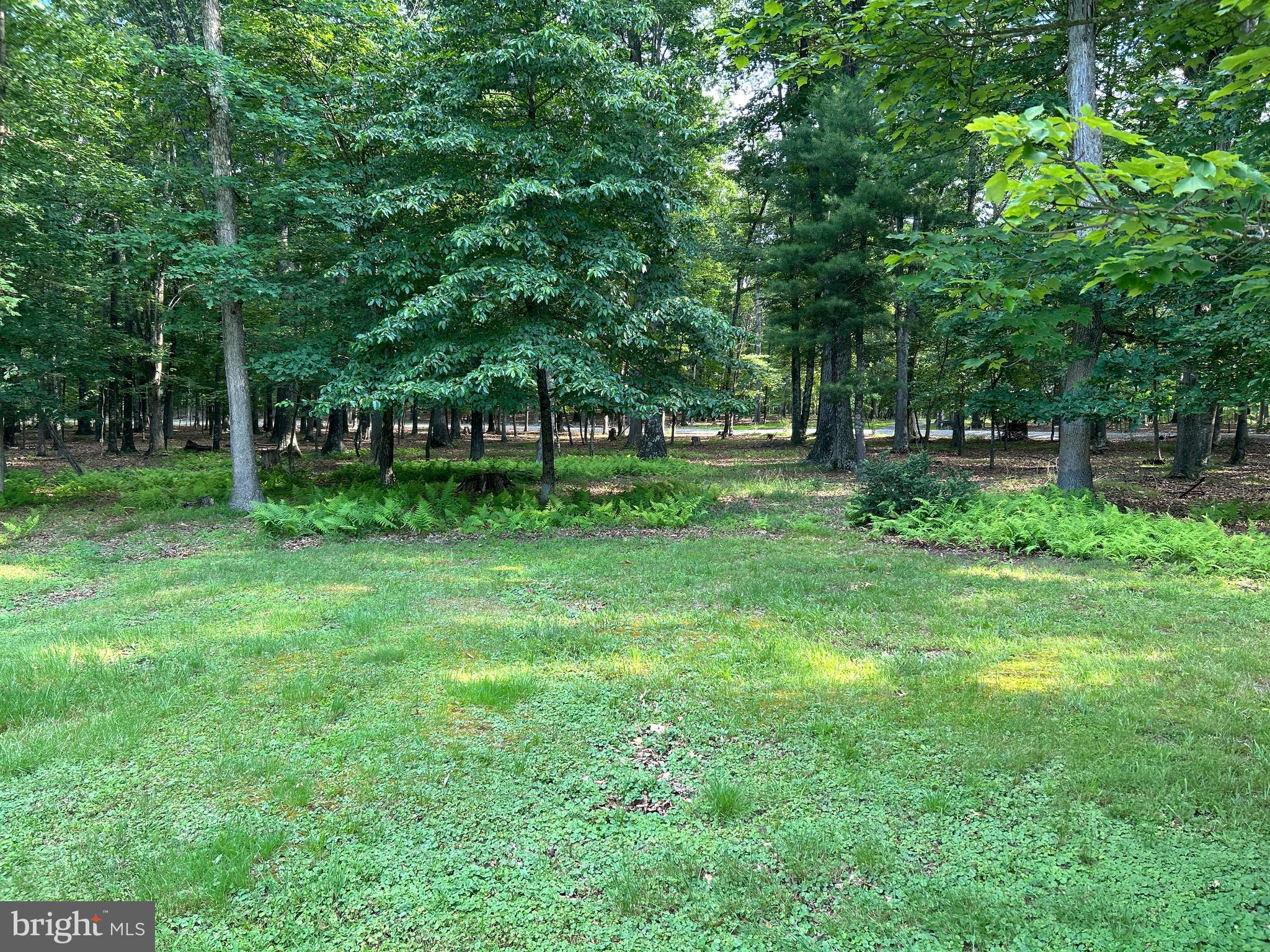 MISTY MEADOWS - Land