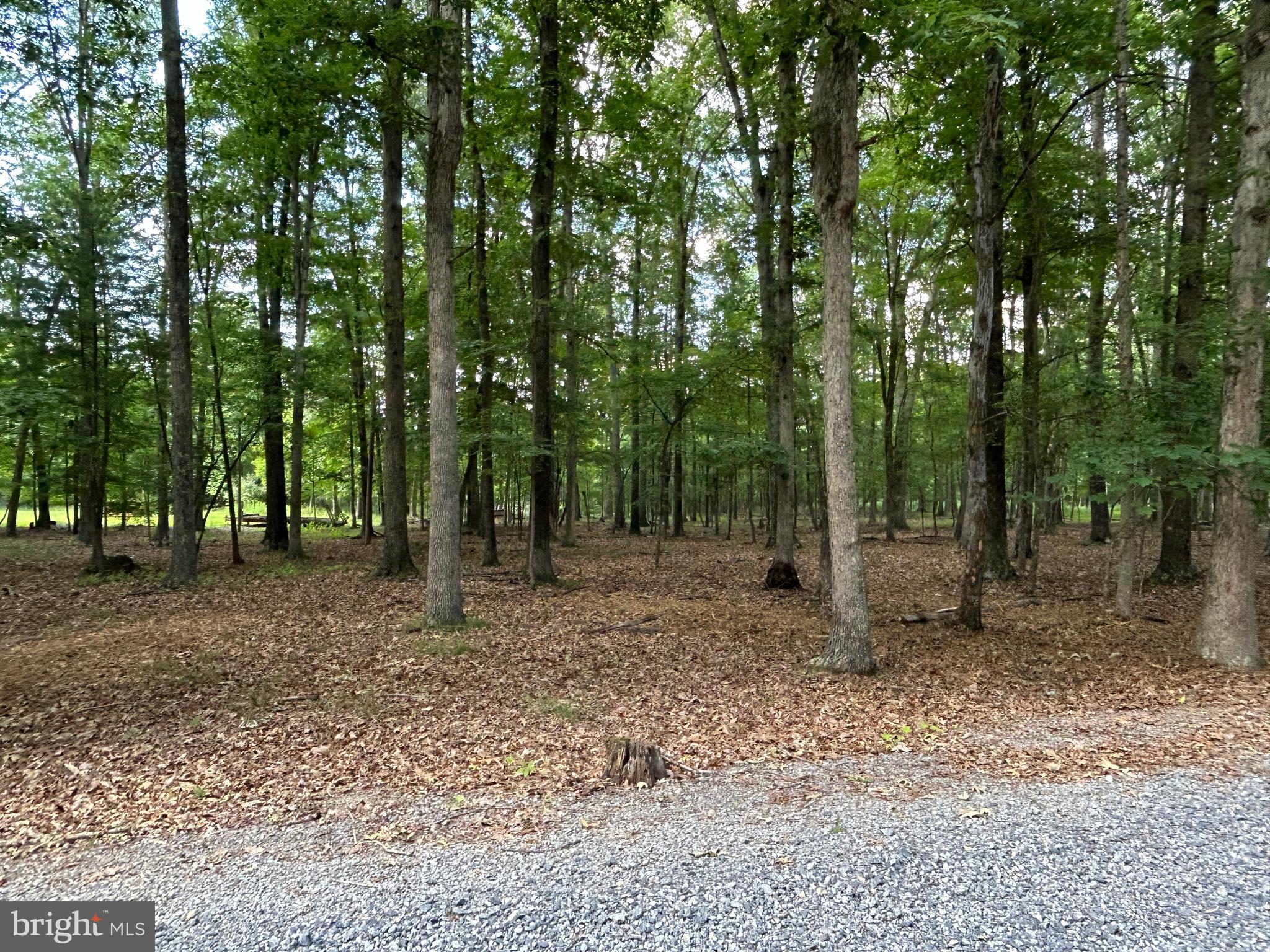 MISTY MEADOWS - Land