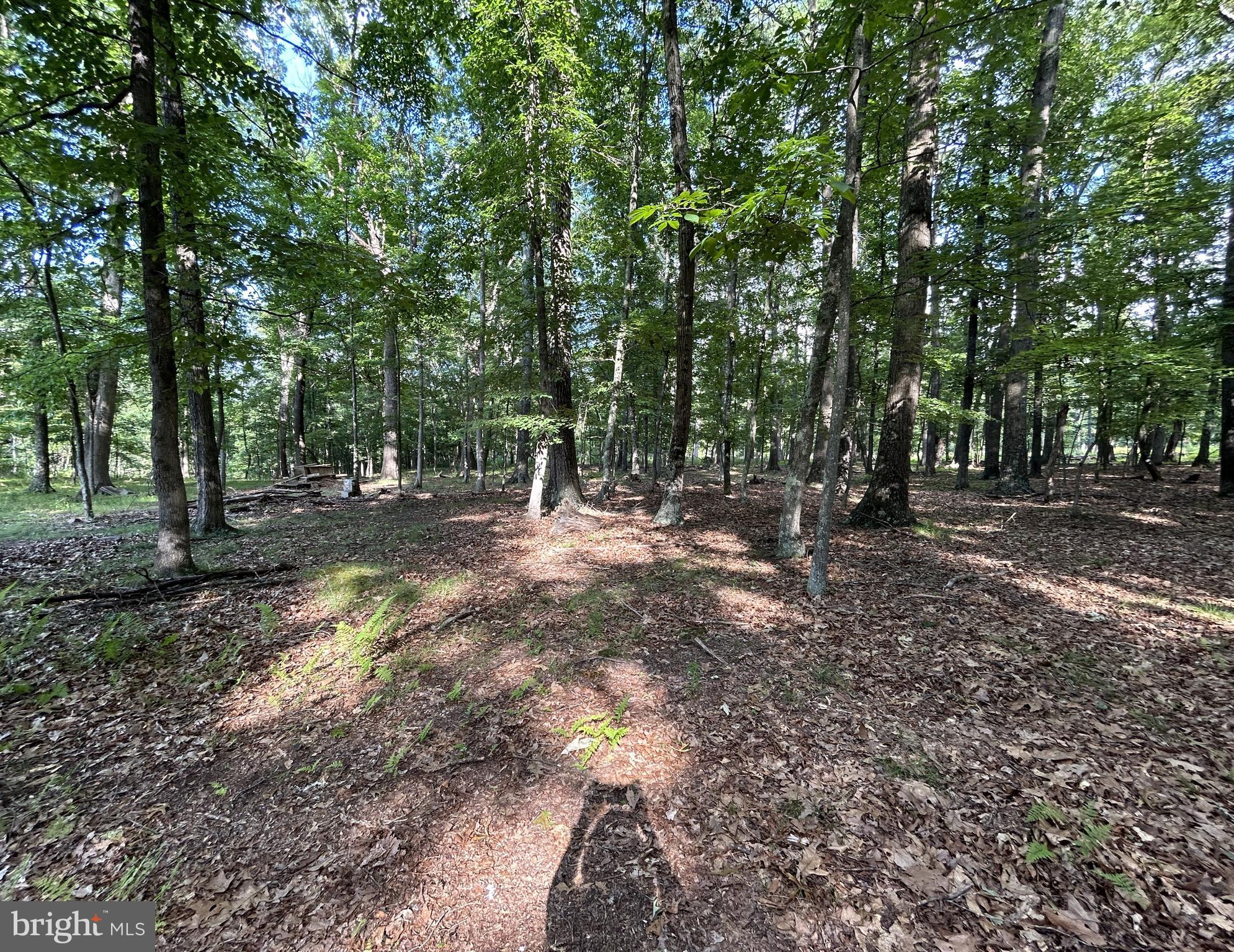 MISTY MEADOWS - Land