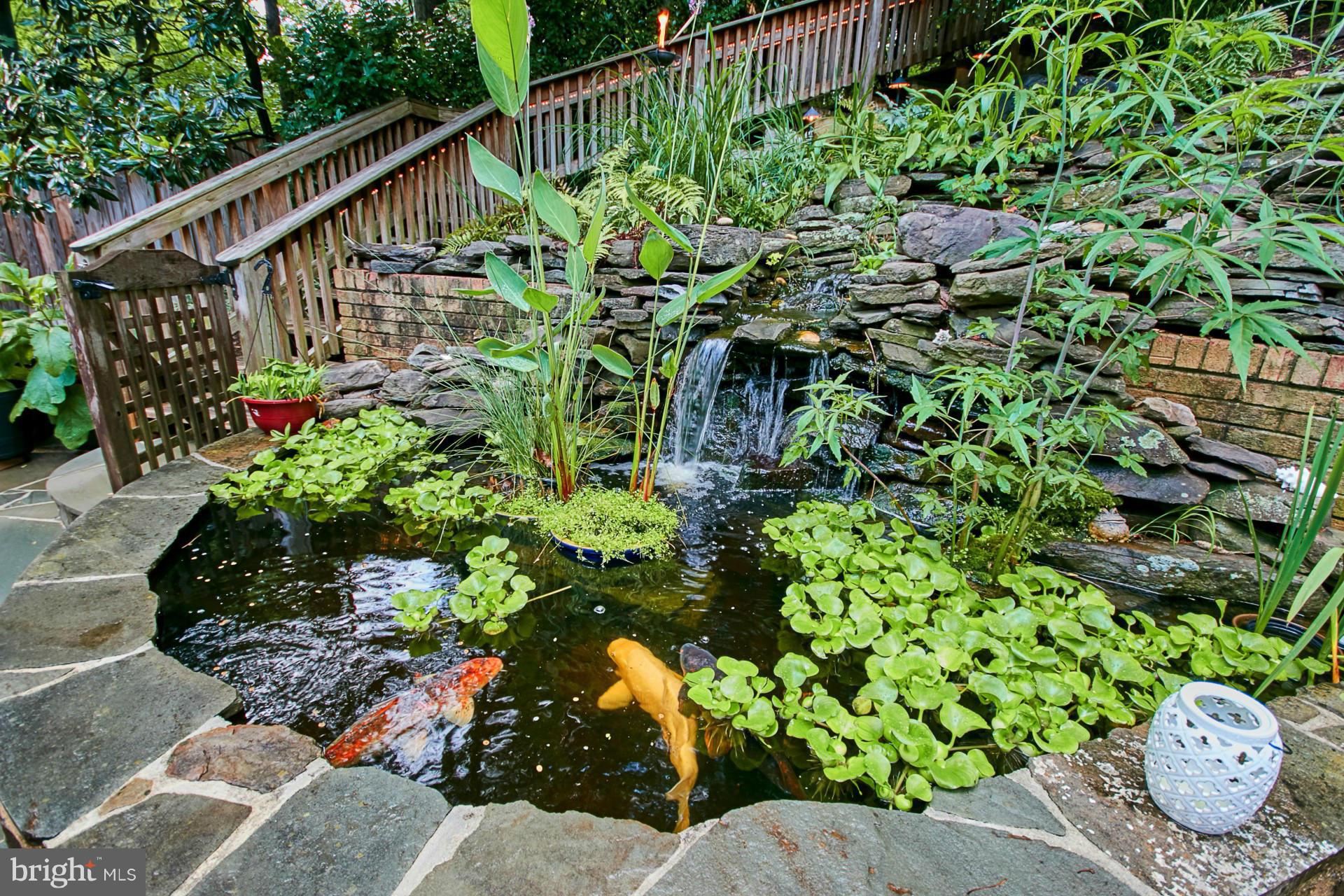 BUSH HILL WOODS - Residential