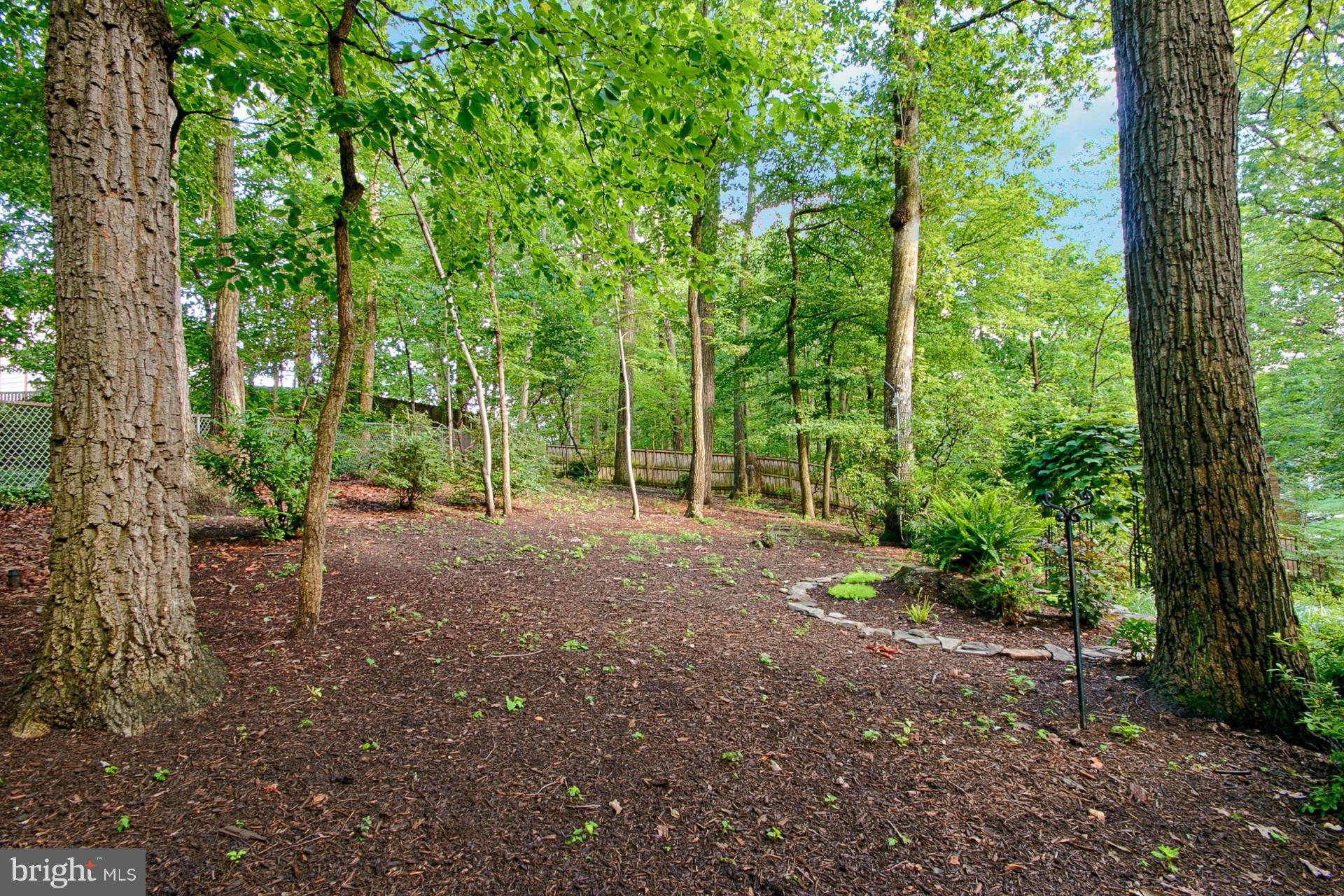 BUSH HILL WOODS - Residential