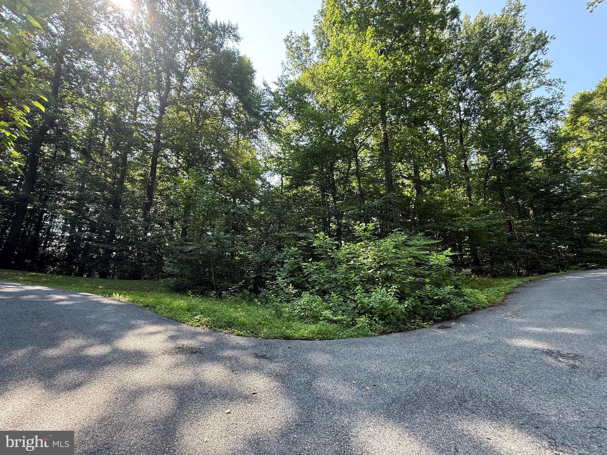 YES You can build on this parcel! 2 acres of Perc'd land with a sewage plan on file!
This land is ready for your vision, and priced to sell! Tucked away on a quiet cul-de-sac, this mostly wooded lot offers the perfect blend of privacy and natural beauty, making it an ideal setting for your custom dream home. Whether you’re envisioning a charming country retreat or a spacious family estate, this property provides the space and flexibility to bring your vision to life.