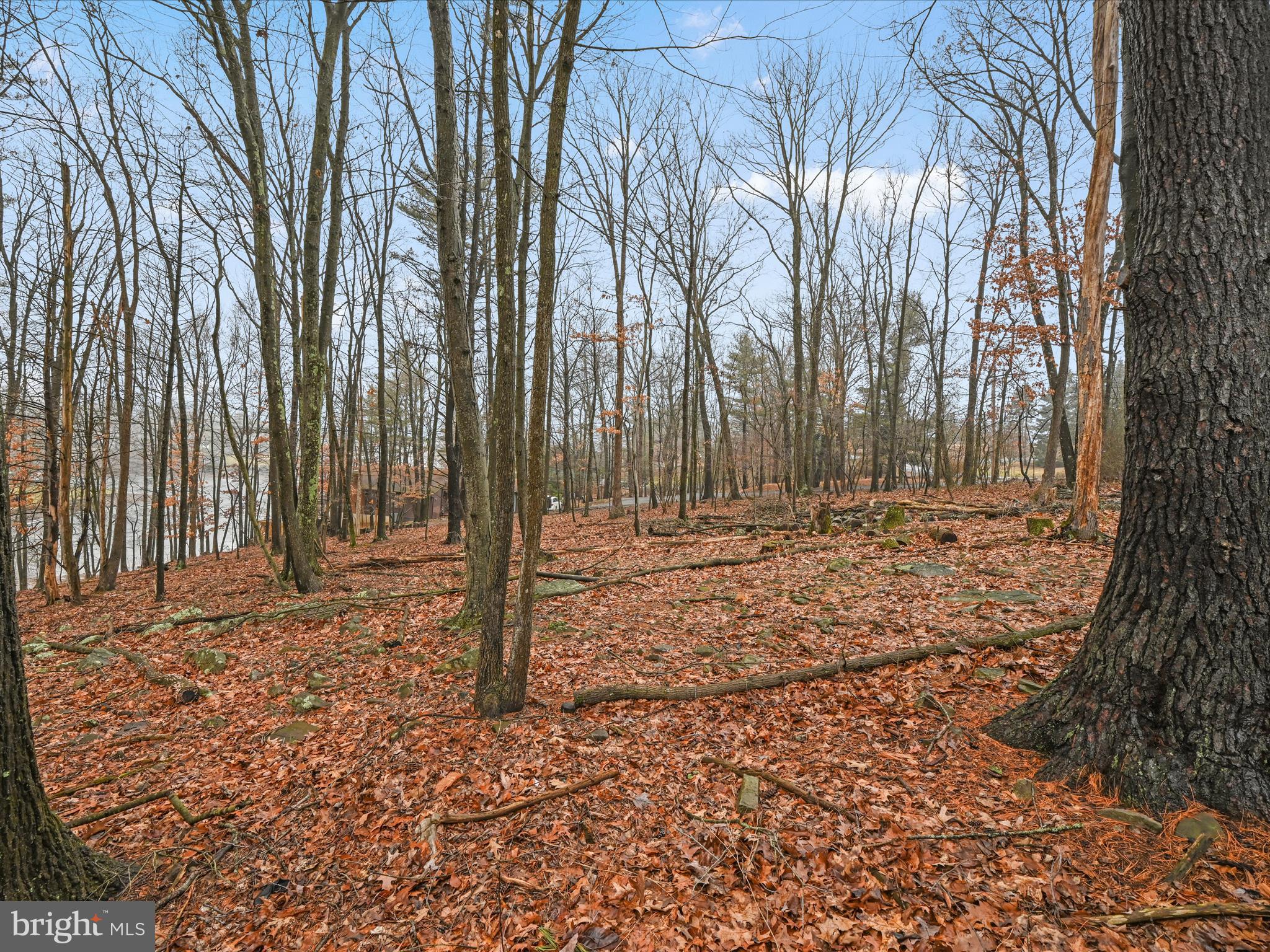 LAKE WYNONAH - Residential
