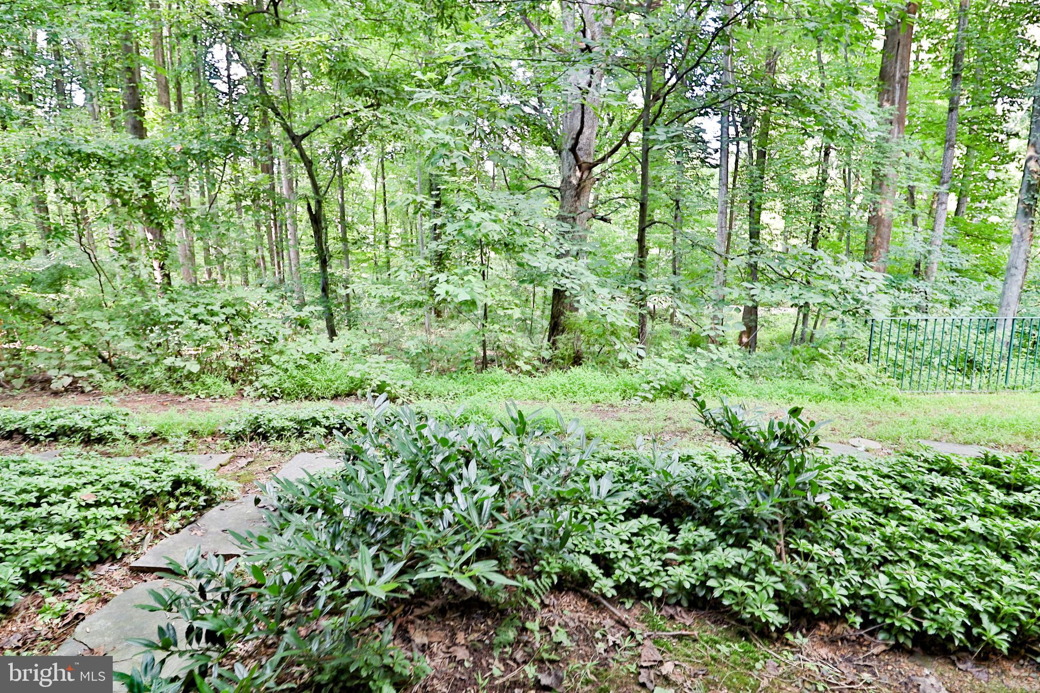 TIMBERBROOK CODM - Residential Lease