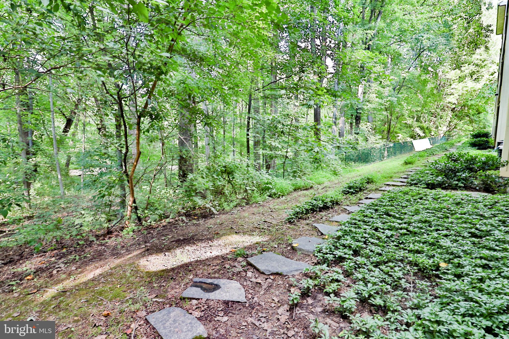 TIMBERBROOK CODM - Residential Lease