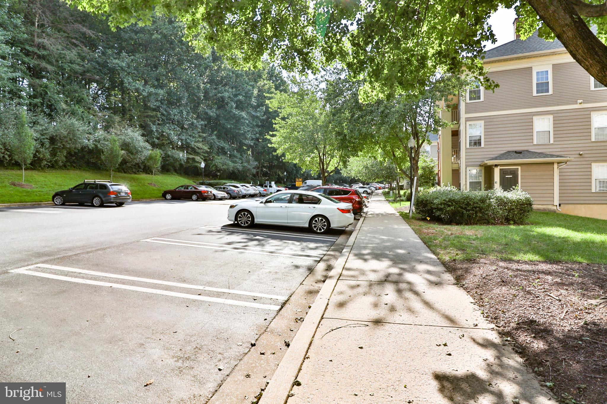 TIMBERBROOK CODM - Residential Lease