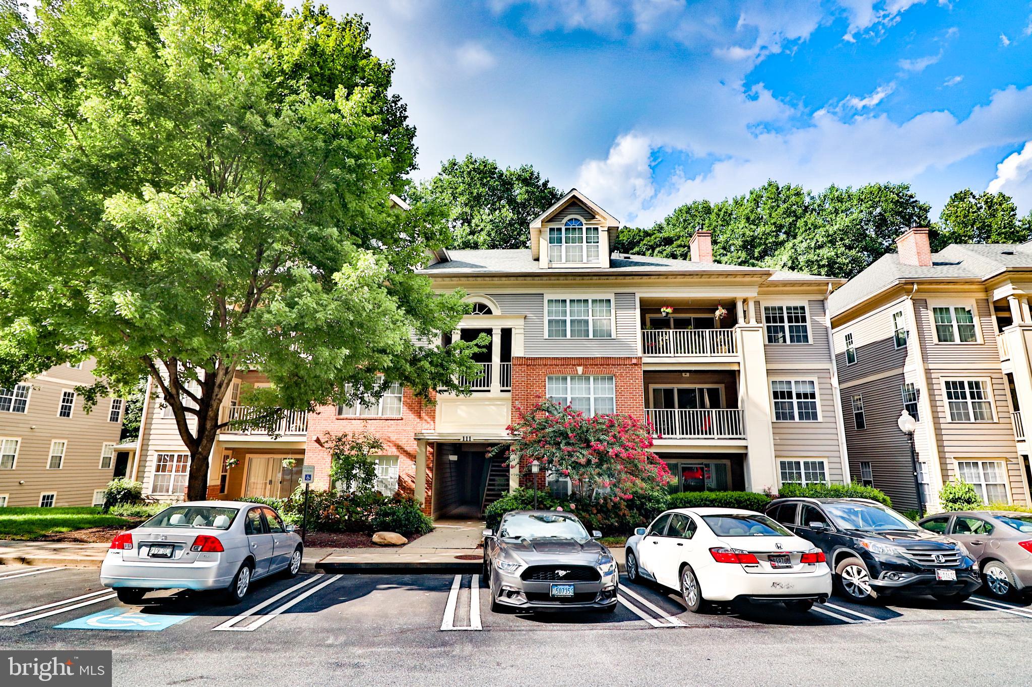 TIMBERBROOK CODM - Residential Lease