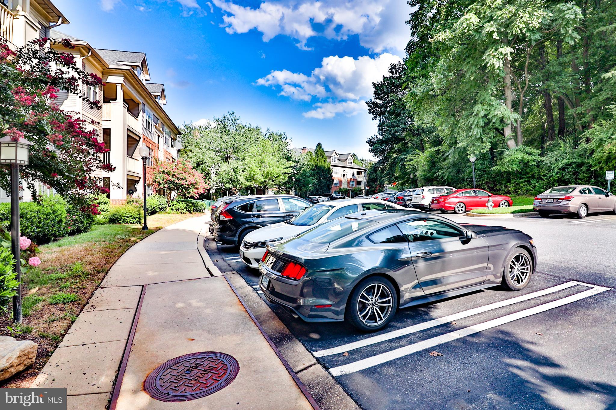 TIMBERBROOK CODM - Residential Lease