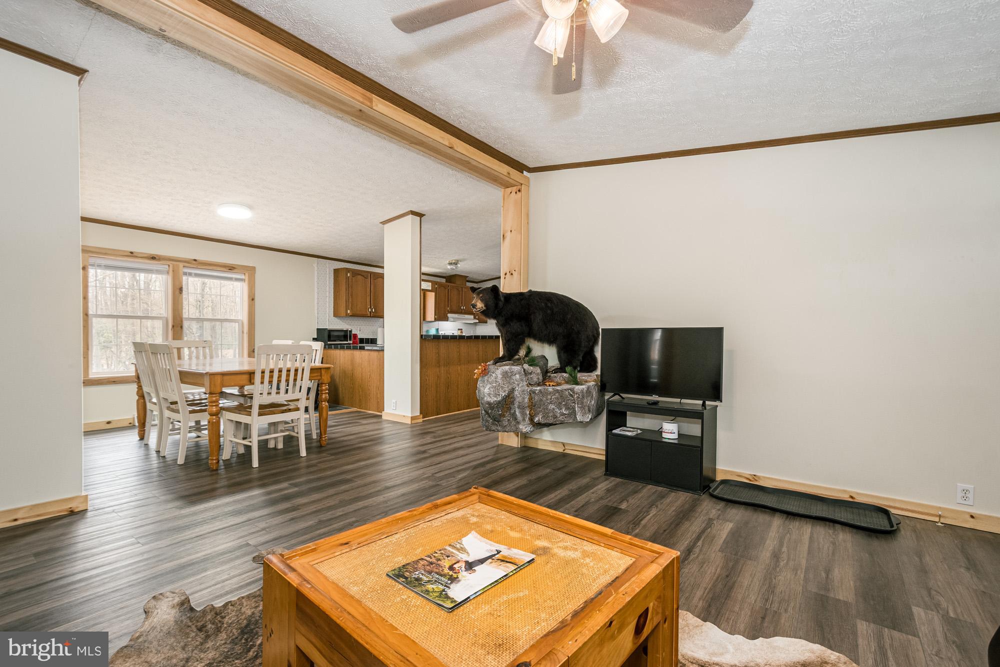 YOUGH MT. RESORT - Residential