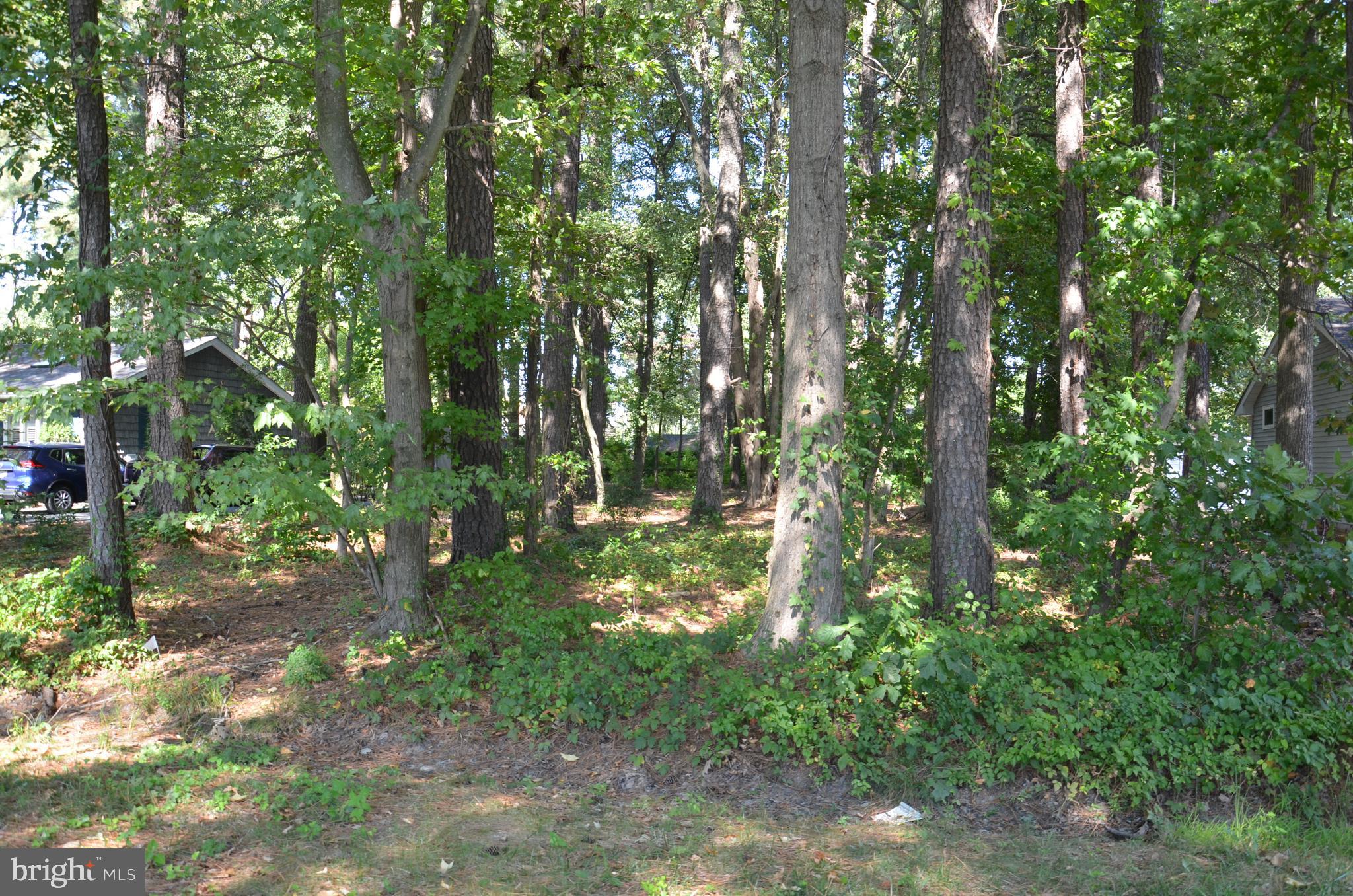 912 CALVERT AVE.
