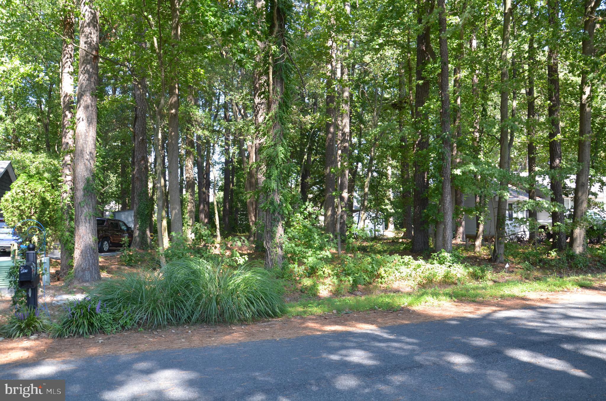 912 CALVERT AVE.