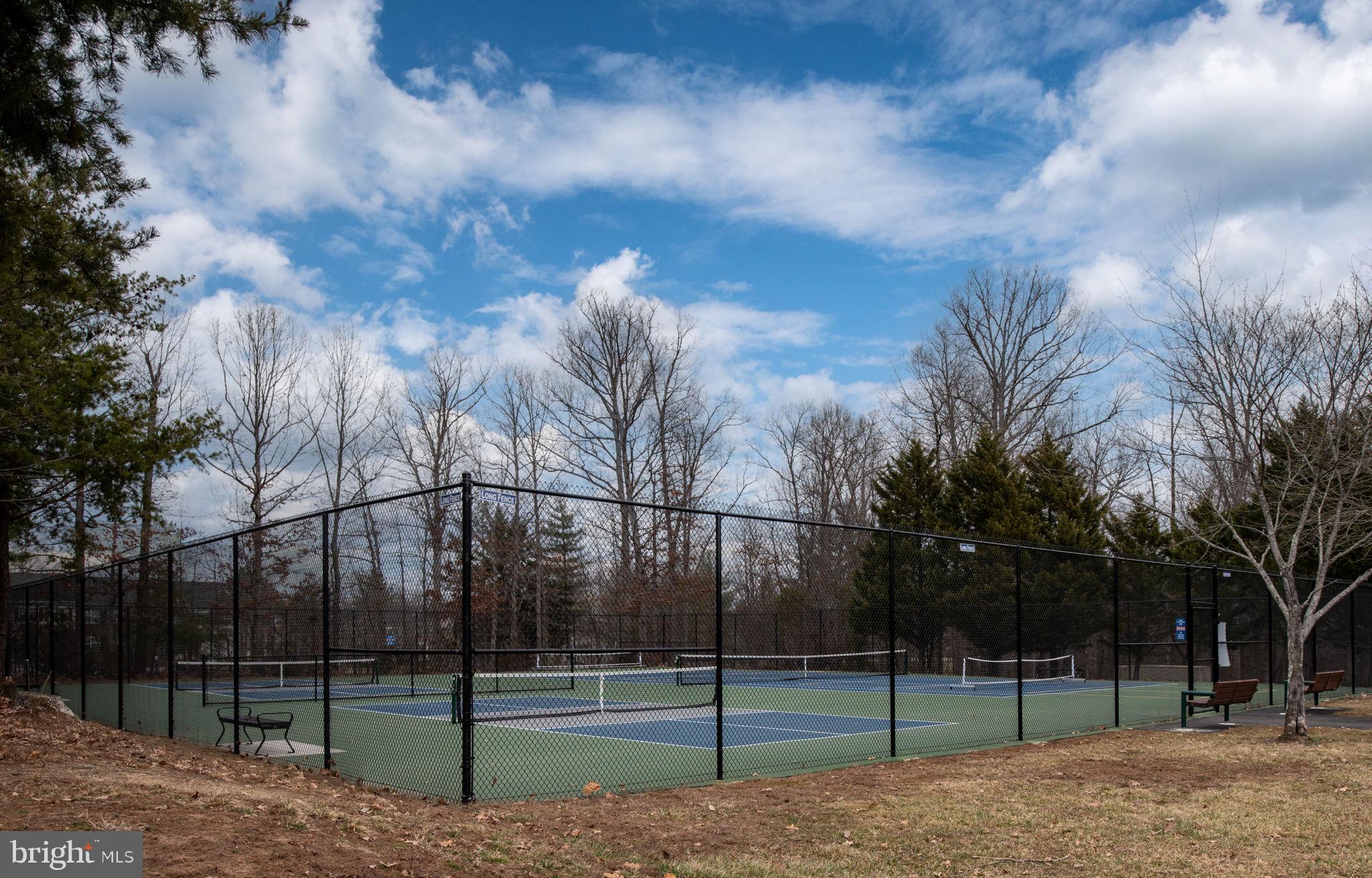 THE VILLAGES AT SAYBROOK - Residential Lease