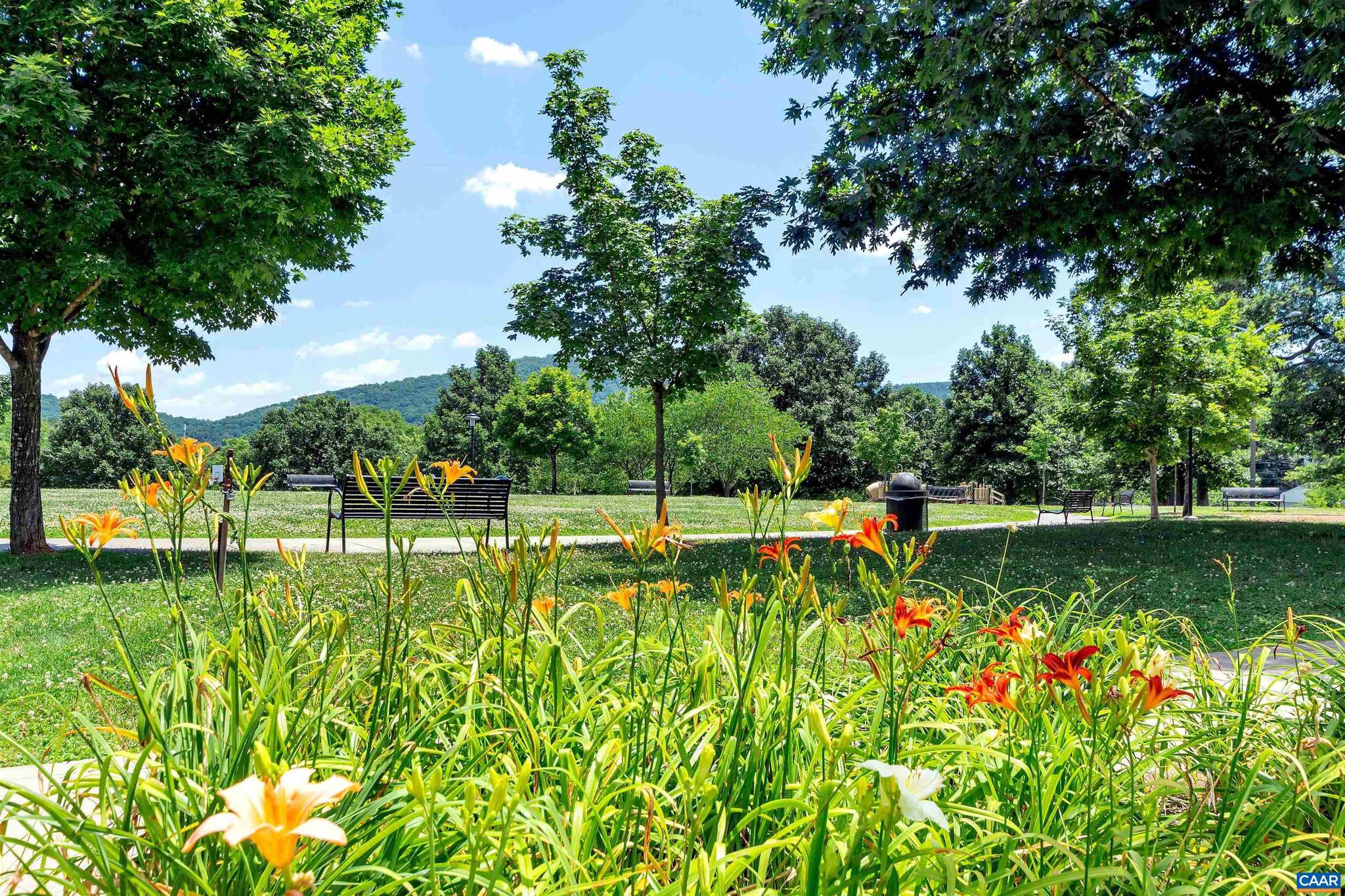 BELLMONT - Residential