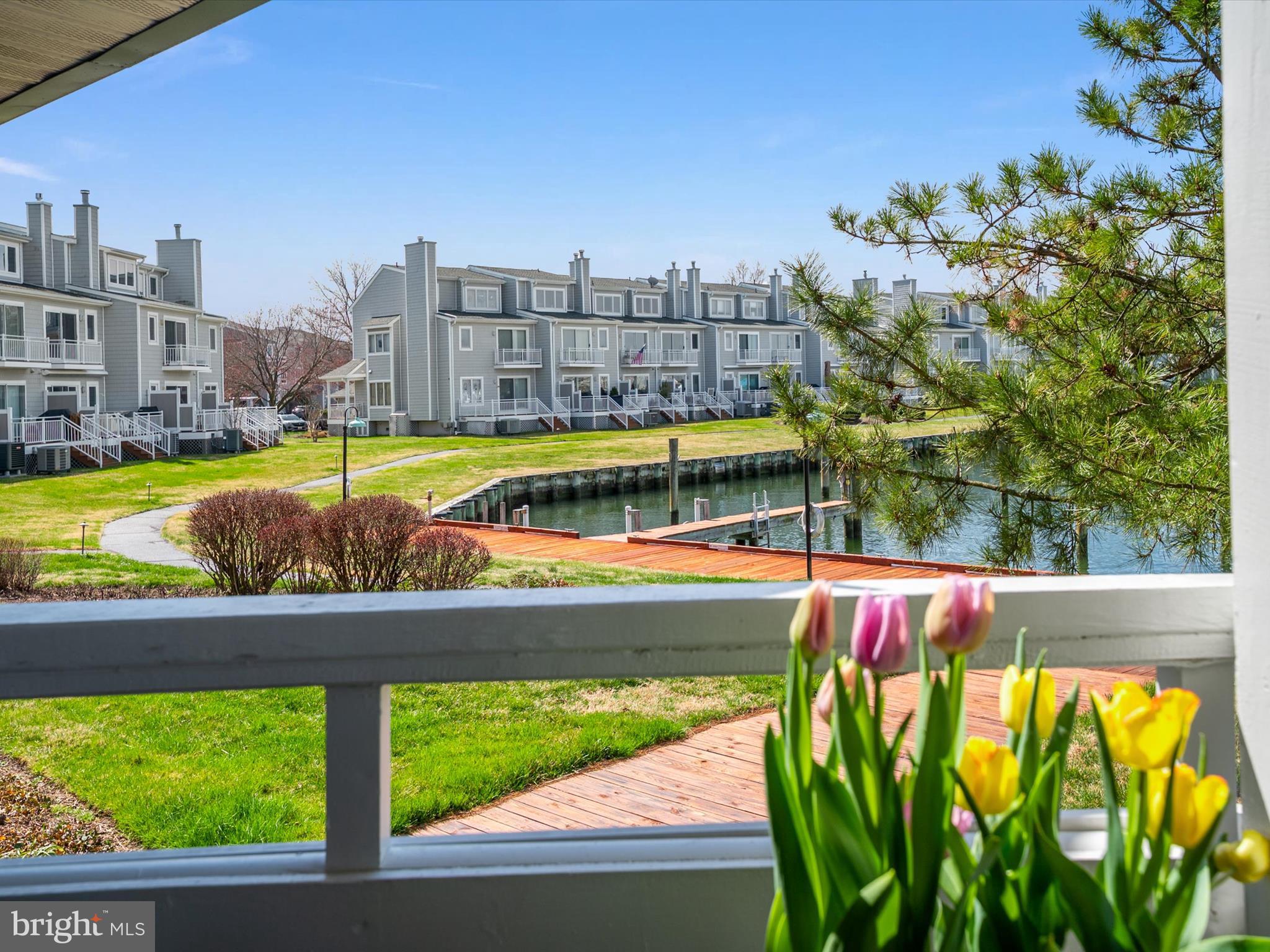 OYSTER COVE - Residential