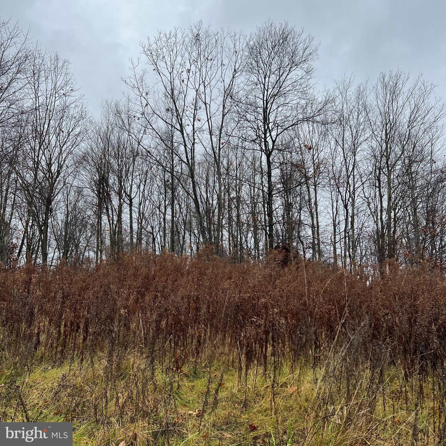 000 UNIVERSITY DRIVE