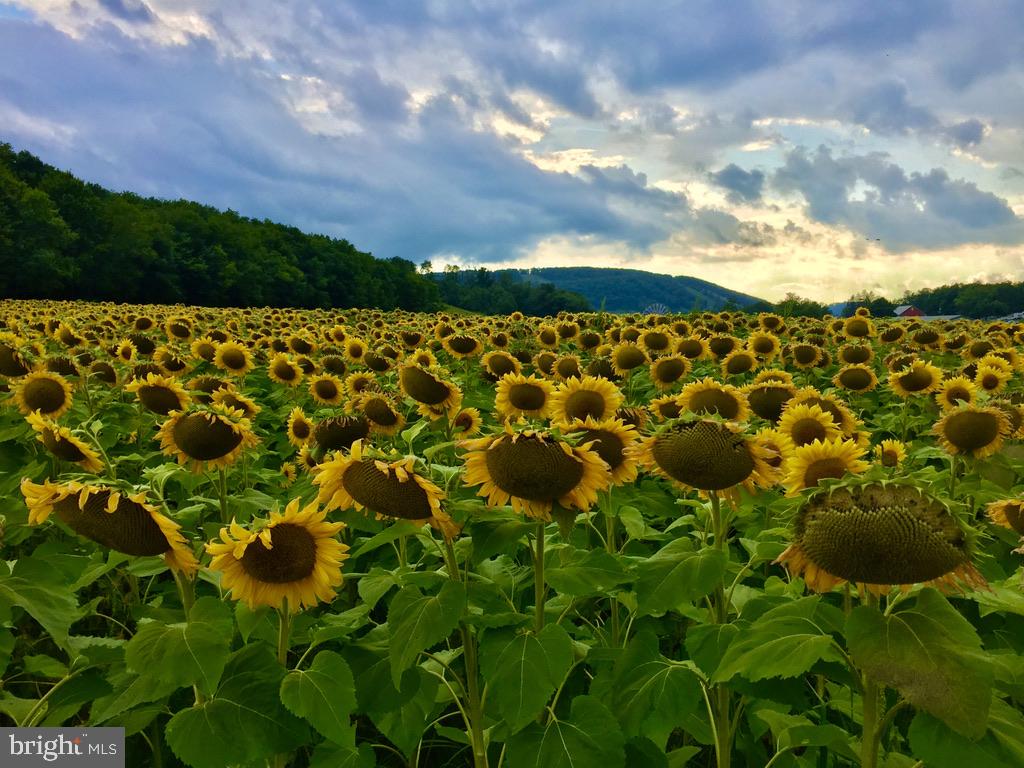 SKY VALLEY - Residential