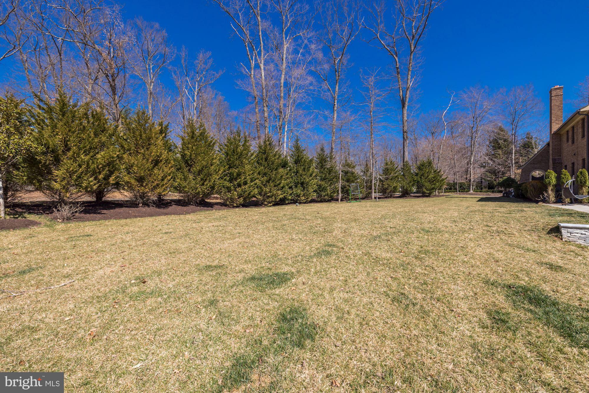 BULL NECK - Residential