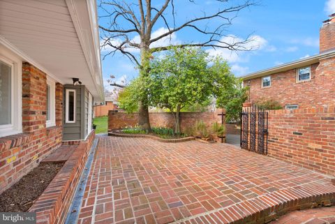listing image 53