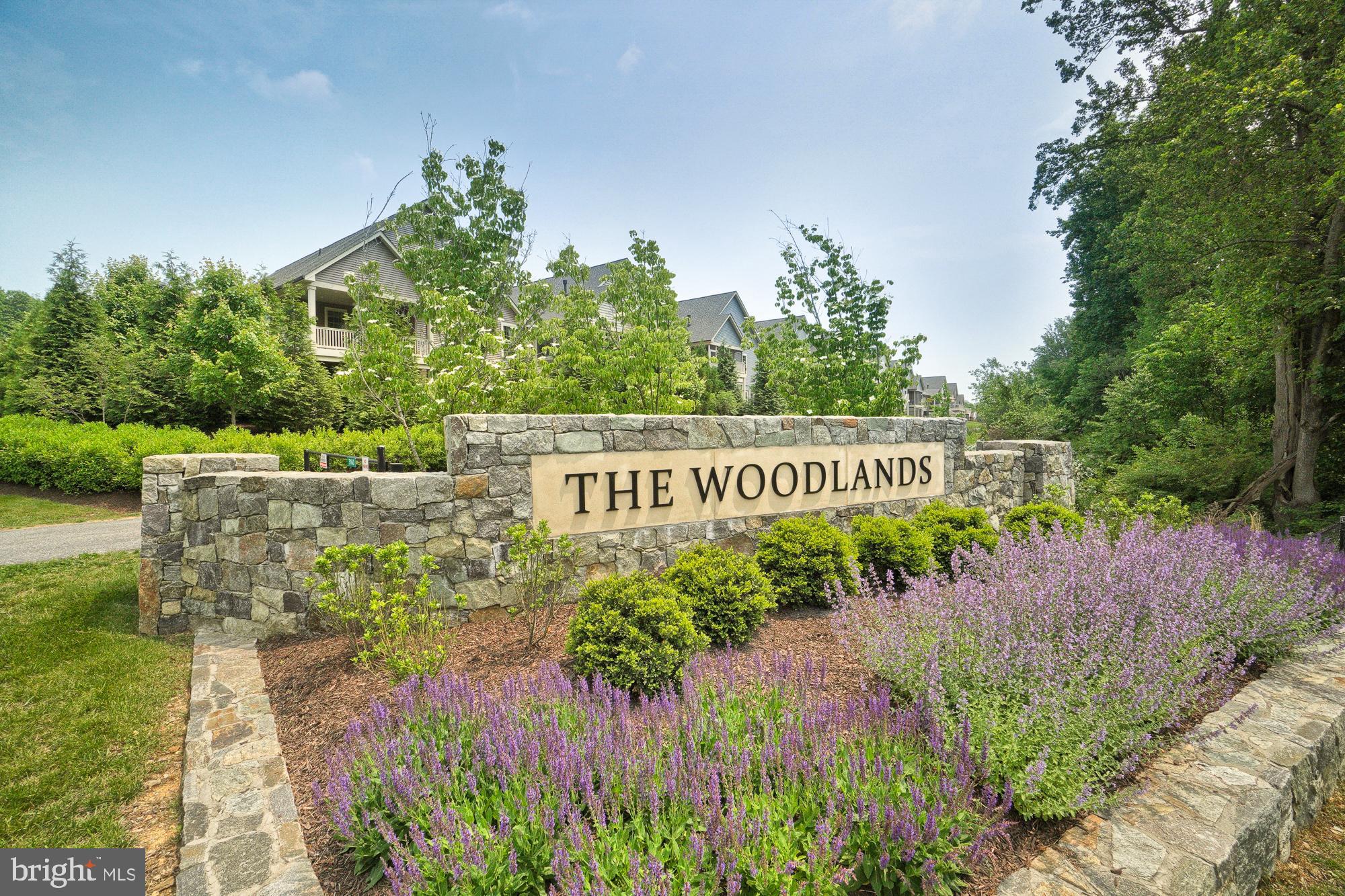 THE WOODLANDS - Residential