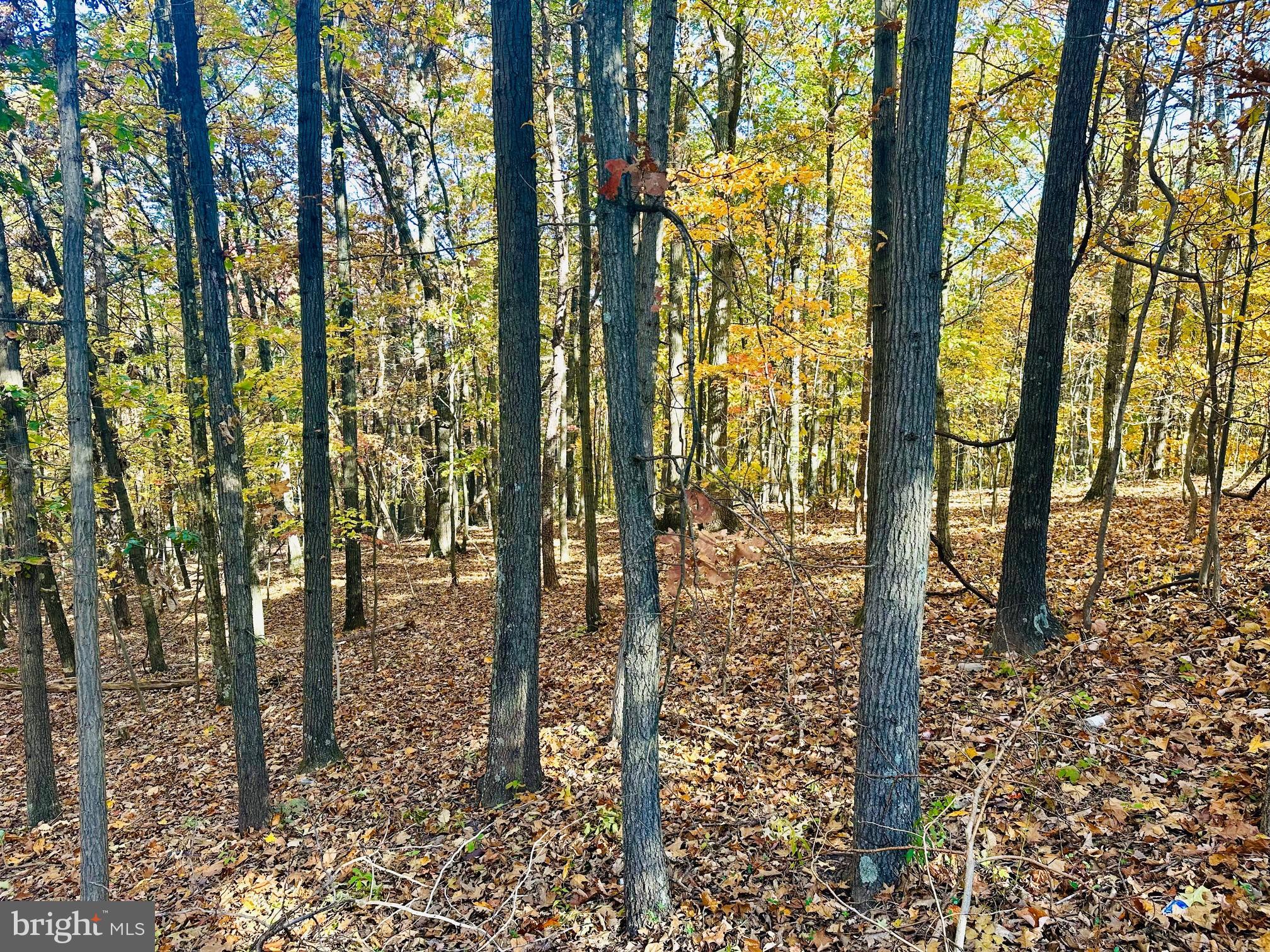 NONE AVAILABLE - Land