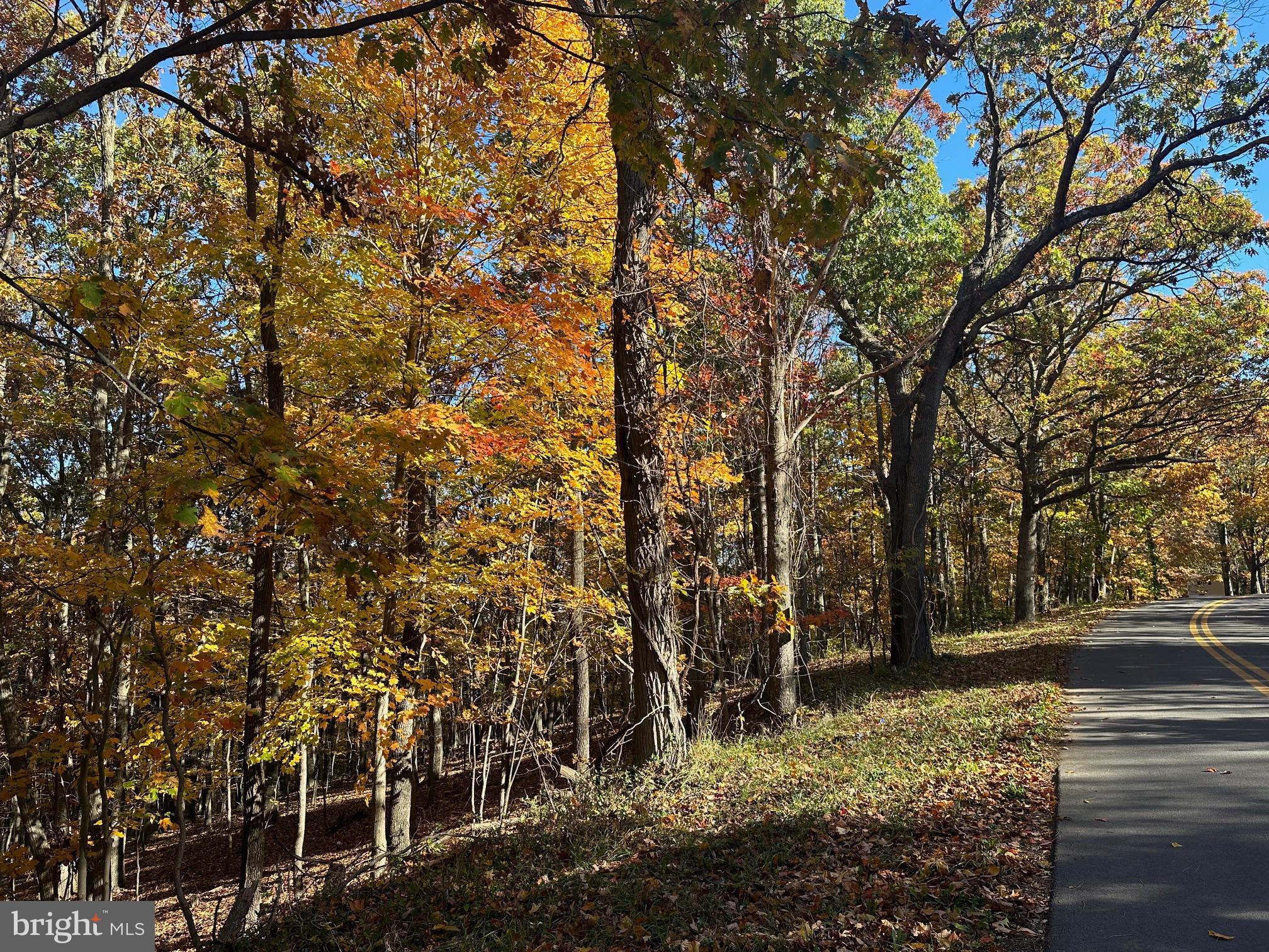 NONE AVAILABLE - Land