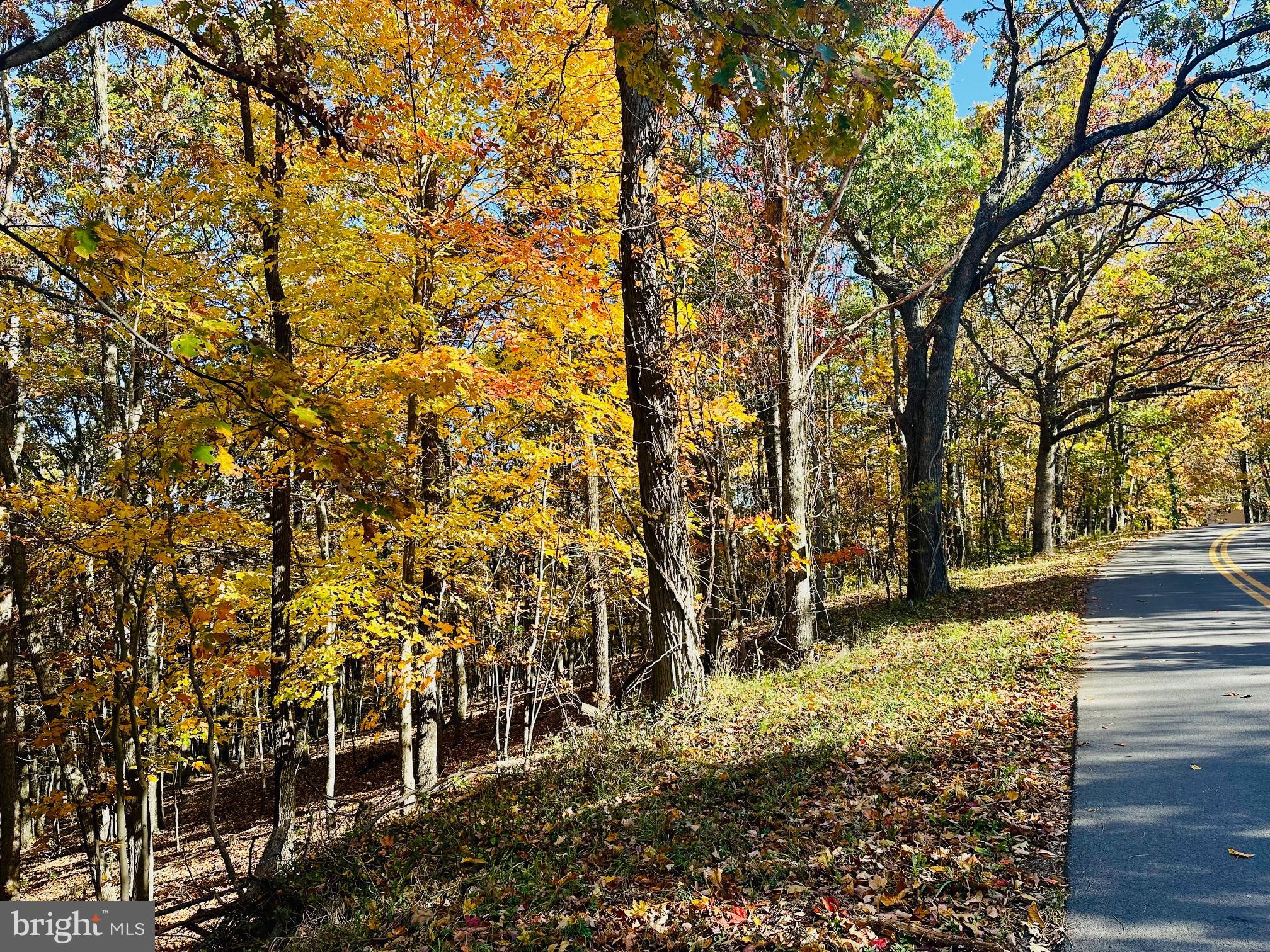 NONE AVAILABLE - Land