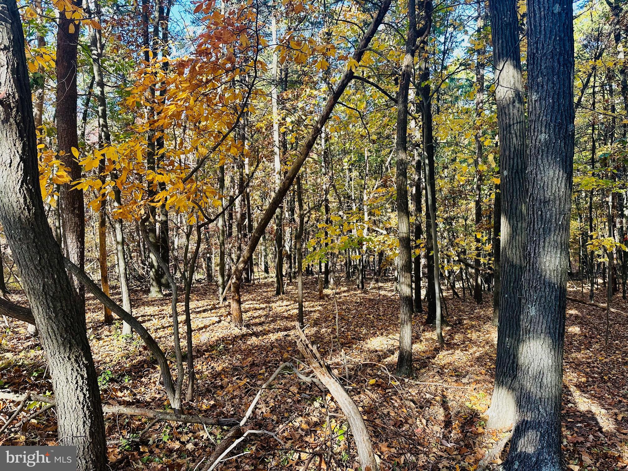 NONE AVAILABLE - Land