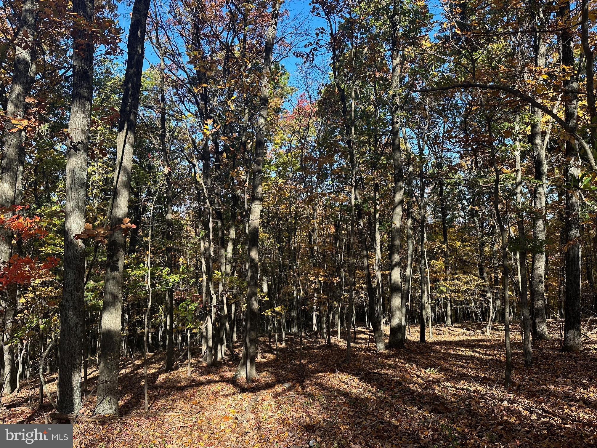 NONE AVAILABLE - Land