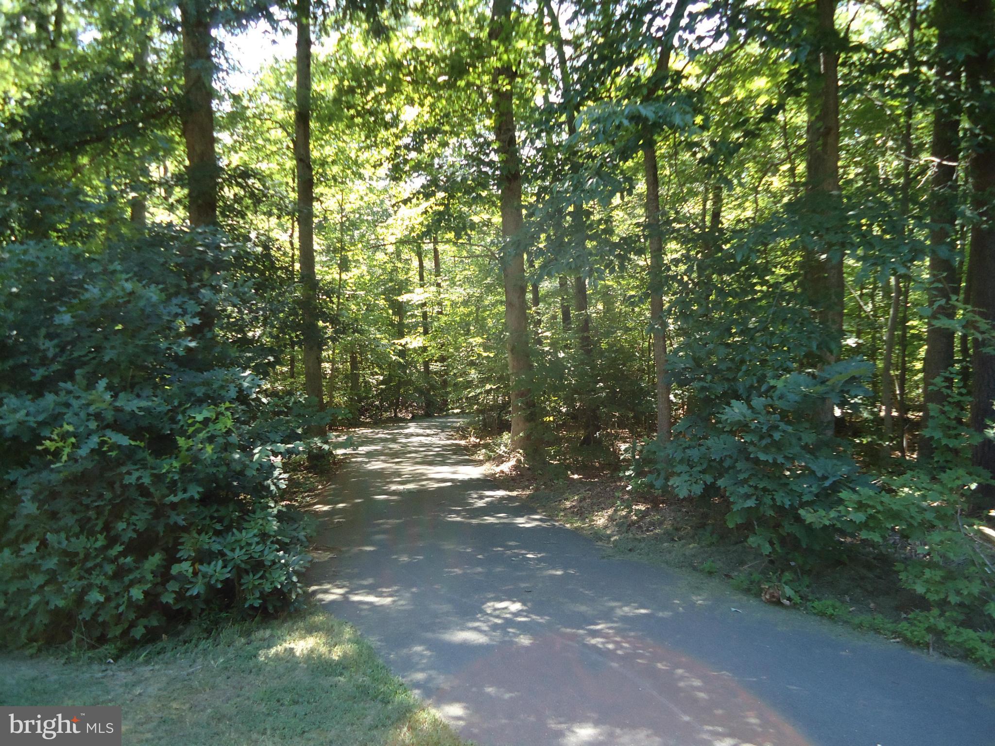 6401 WOLF RUN HUNT COURT
