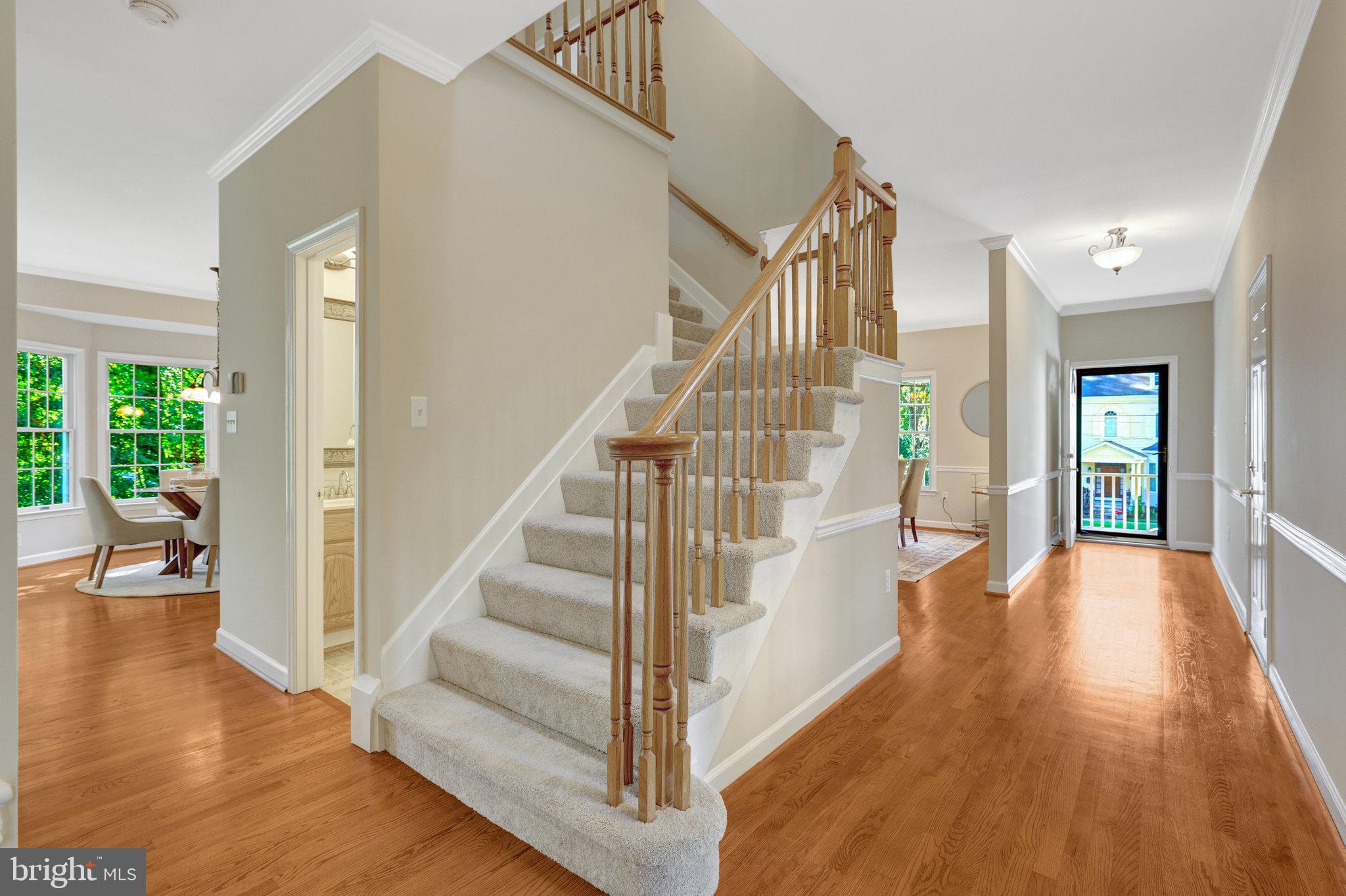 HALEMHURST - Residential