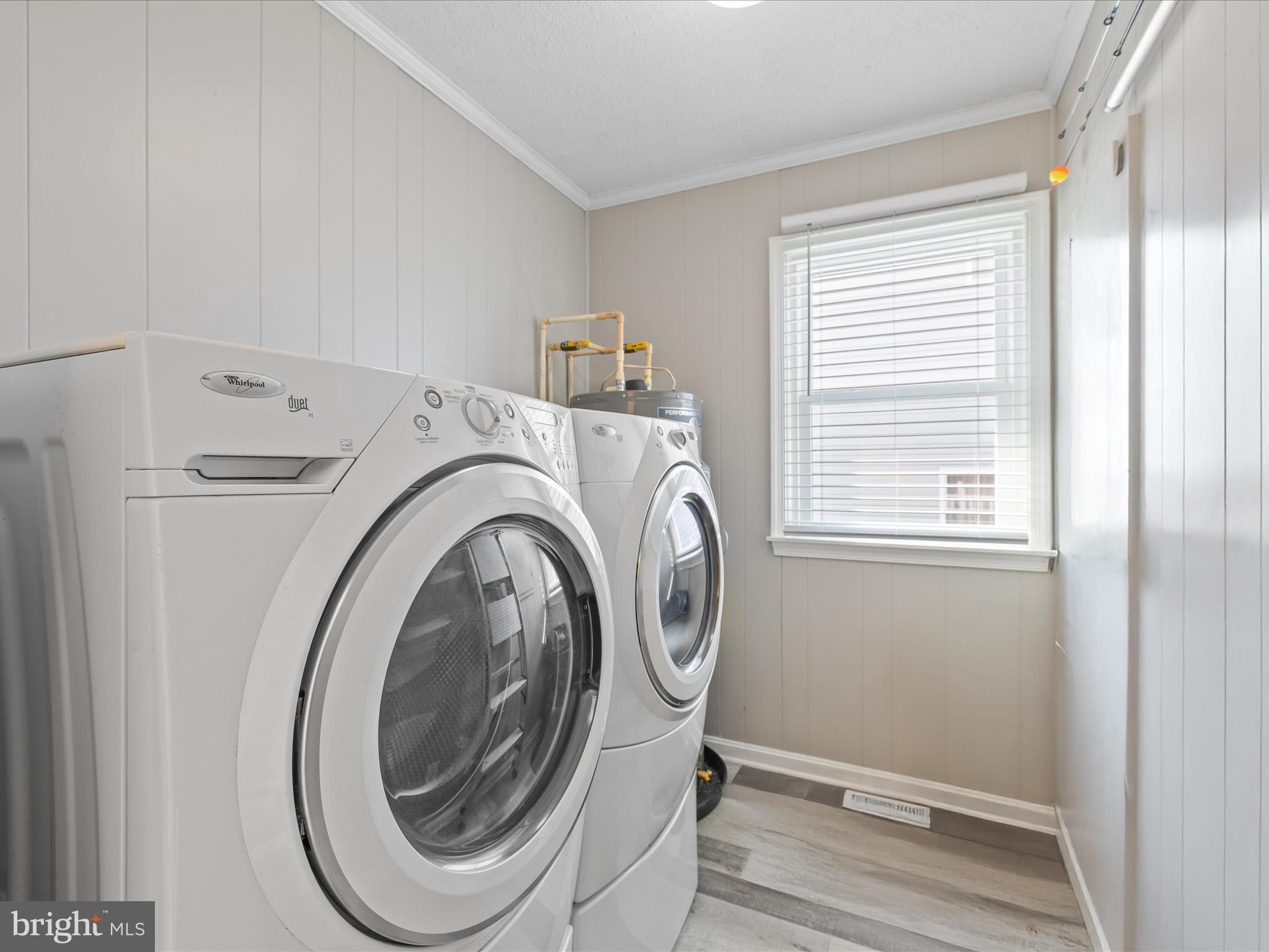 CAINE WOODS - Residential