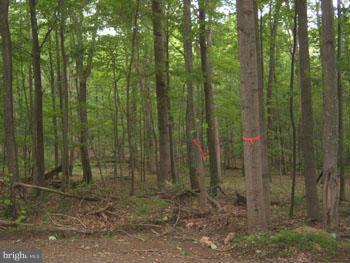 CAPON RIVER VISTA - Land