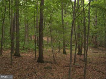 CAPON RIVER VISTA - Land