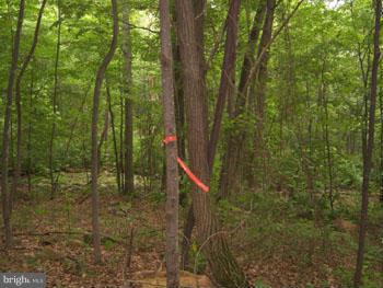 CAPON RIVER VISTA - Land