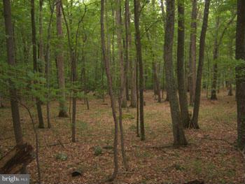 CAPON RIVER VISTA - Land