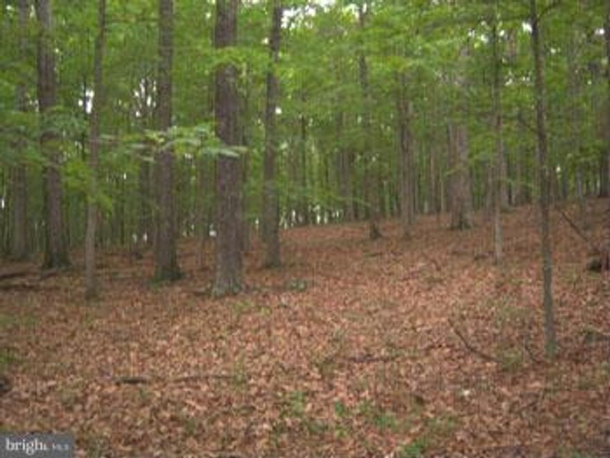 Capon River Vista, 5 acres with river access , mature hardwoods, perfect for camping or that long awaited cabin in the woods. Enjoy the swimming, fishing and boating that the area has to offer, all from this Mountain State gem.