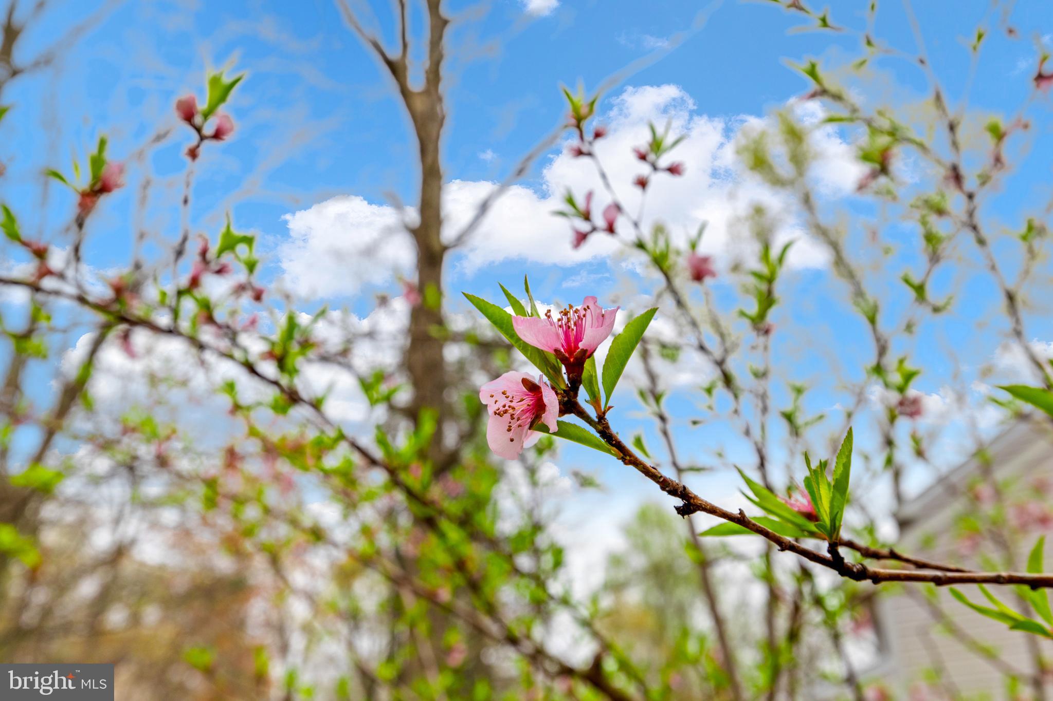 LAKE WILDERNESS - Residential