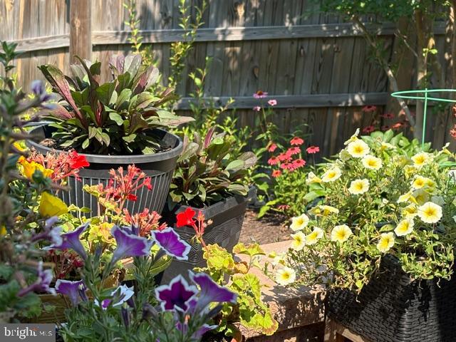 COURTS OF CLARKSBURG - Residential