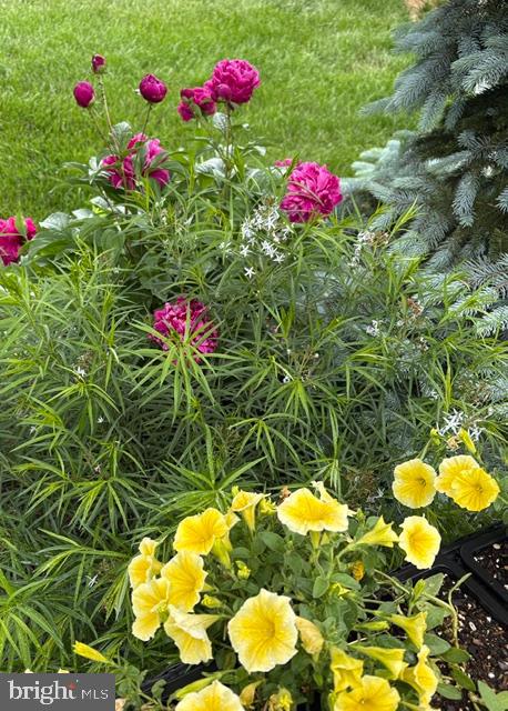 COURTS OF CLARKSBURG - Residential