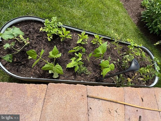 COURTS OF CLARKSBURG - Residential