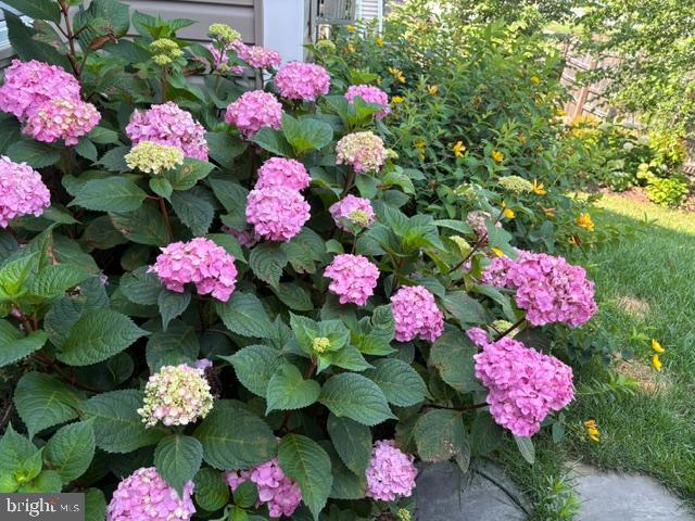 COURTS OF CLARKSBURG - Residential