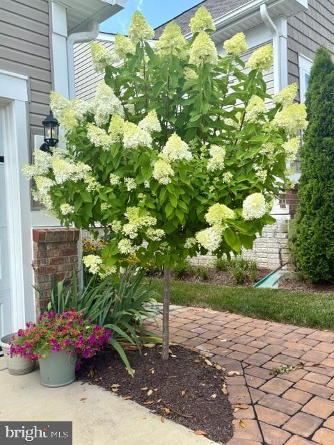 COURTS OF CLARKSBURG - Residential