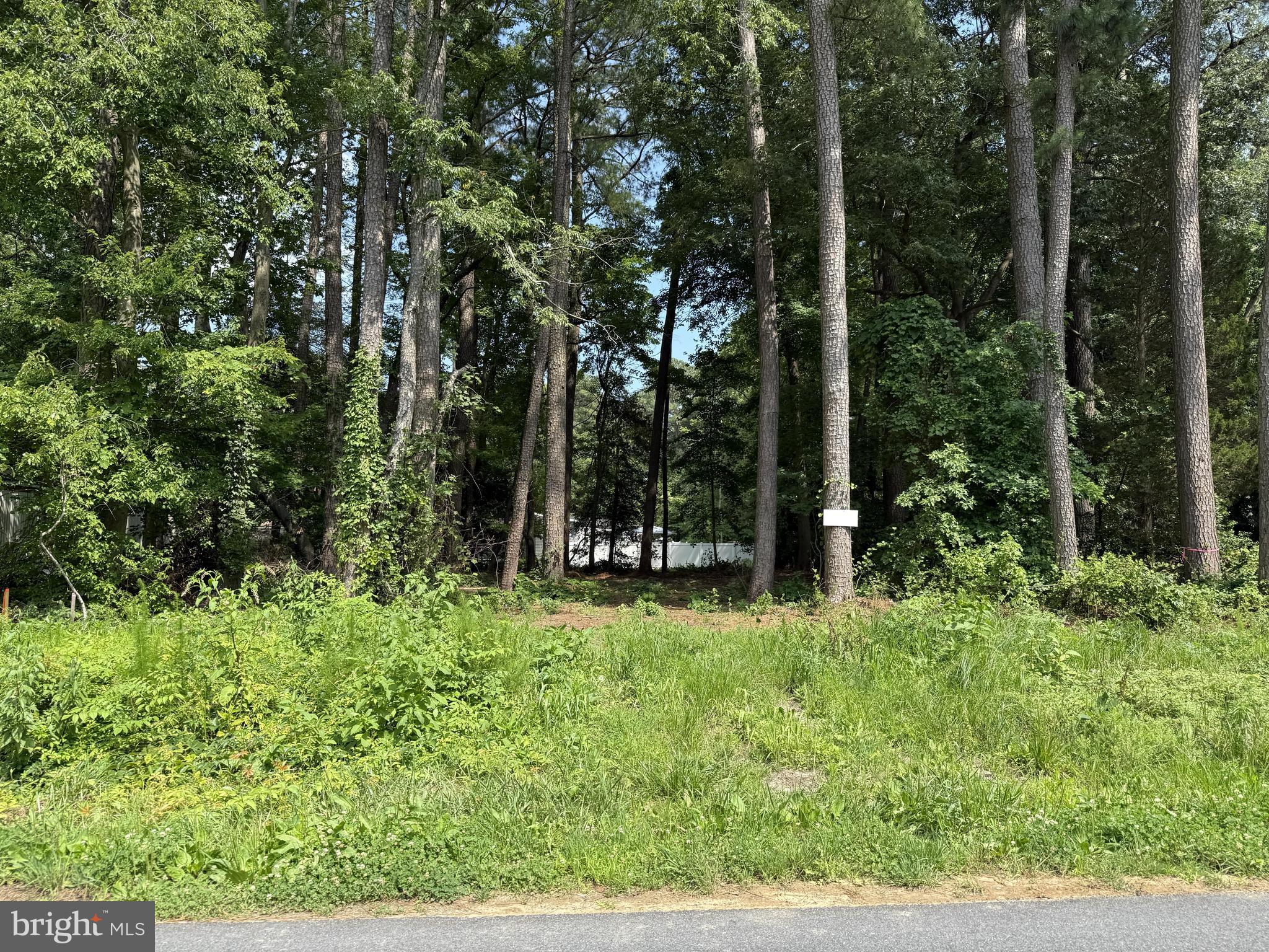 26149 AUTUMN ROAD