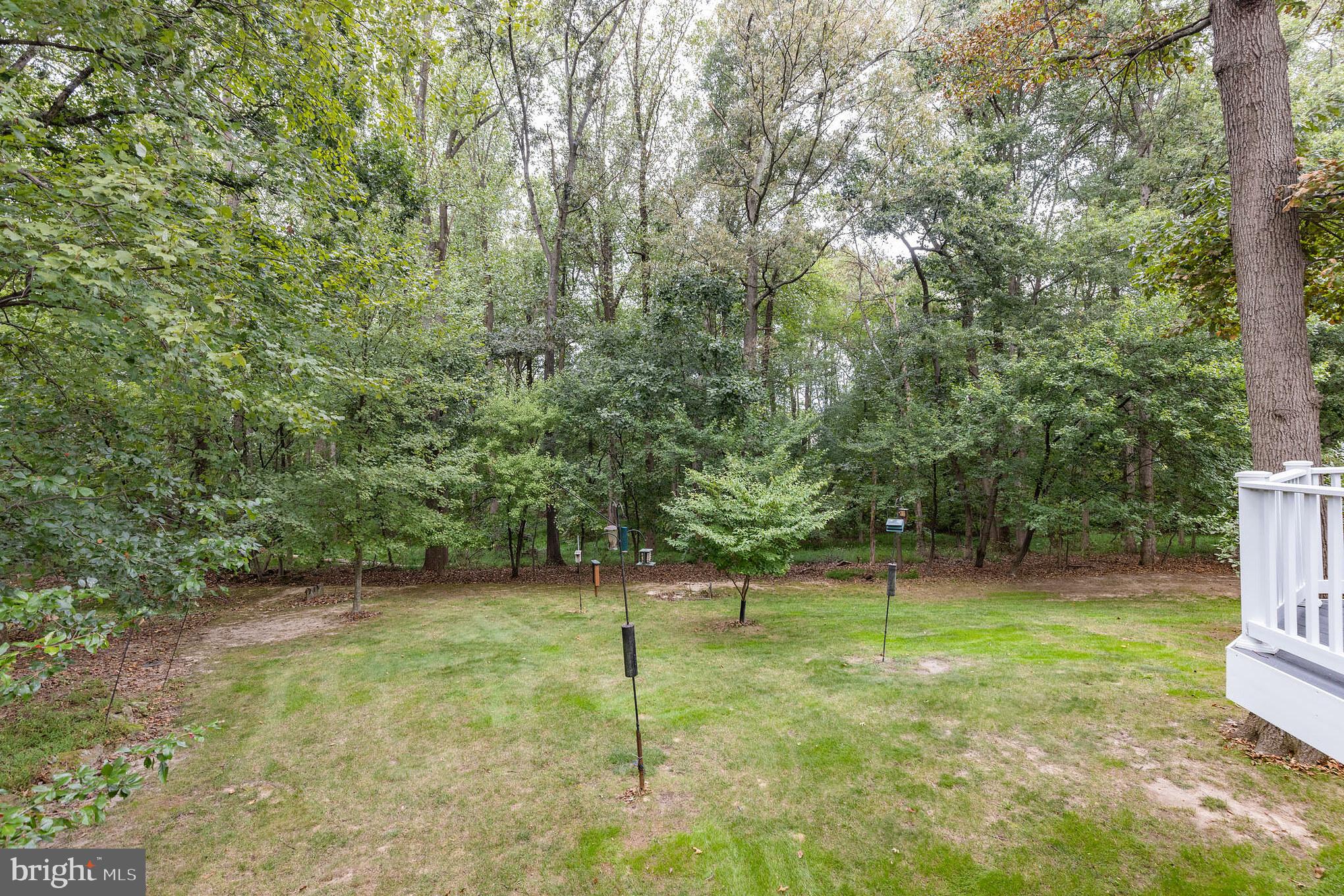 DISNEY ESTATES - Residential