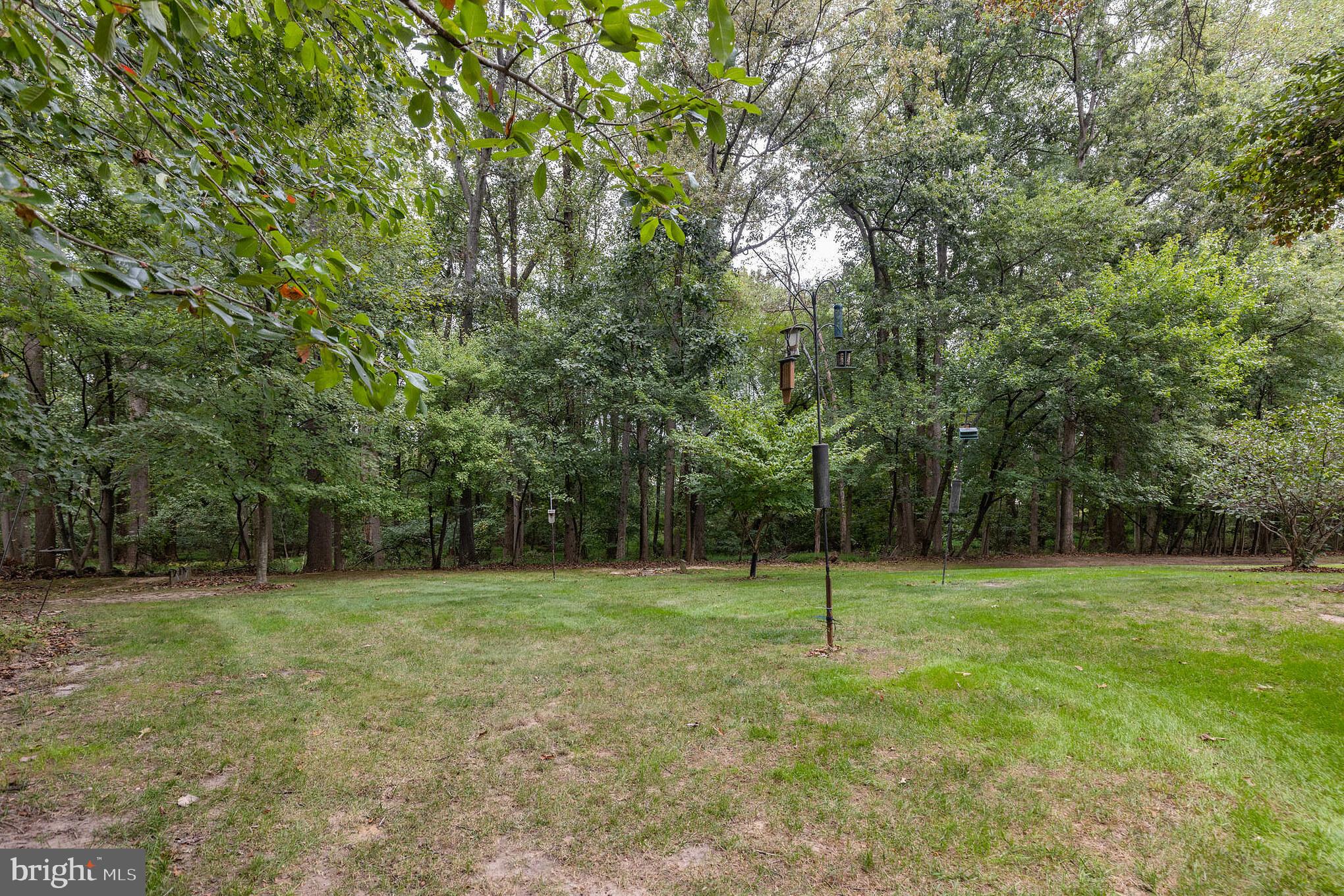 DISNEY ESTATES - Residential